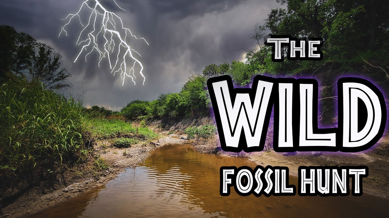 SECRET River is a fossil hunting HEAVEN! 🦕