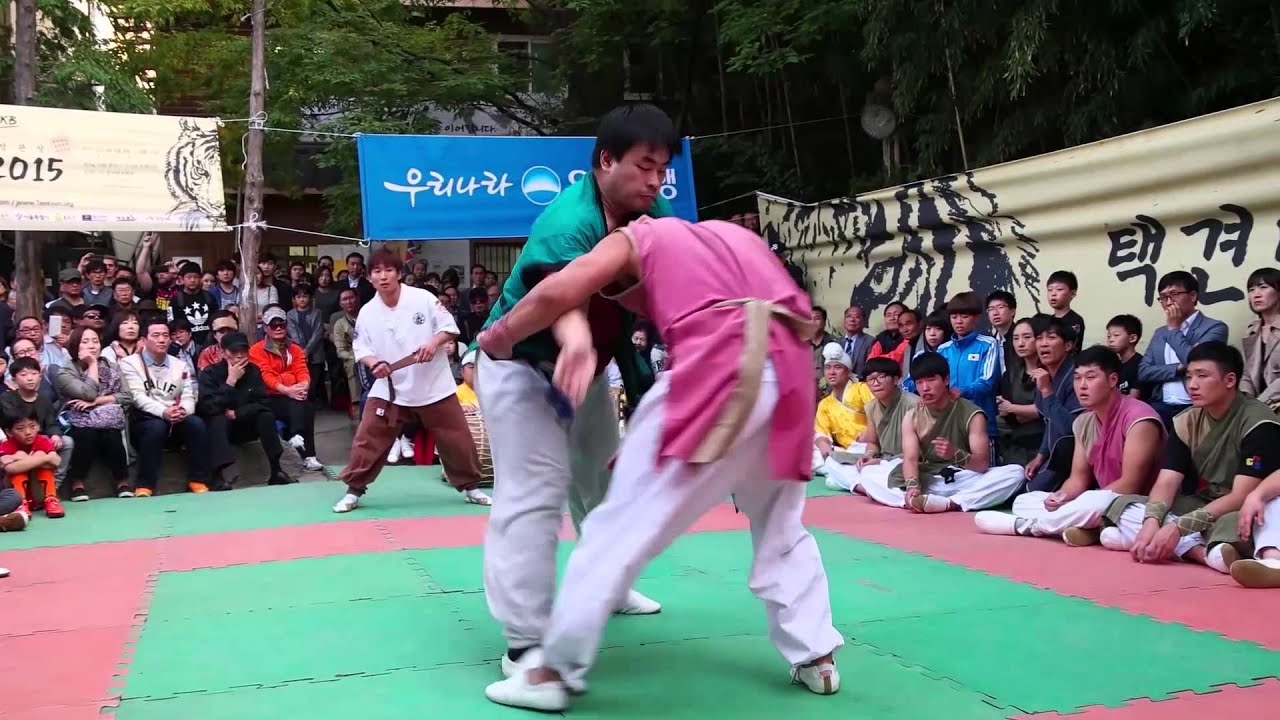 택견배틀 2015 결승전 명륜승부사 vs 경북성주