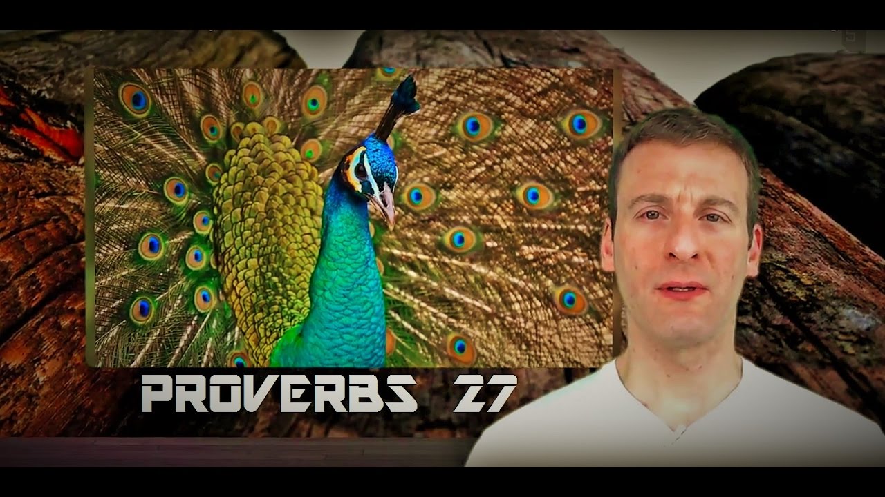 Proverbs Chapter 27 Summary and What God Wants From Us