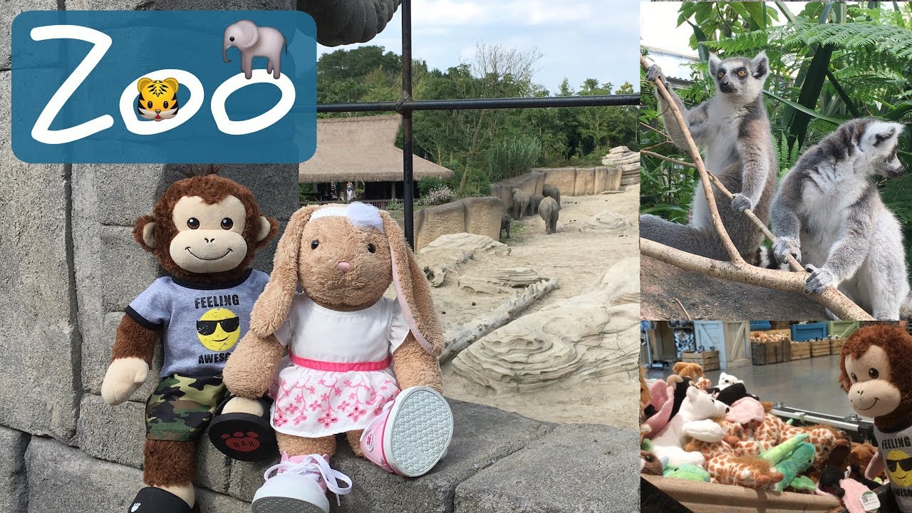 Kayla and Mylo go to the Zoo