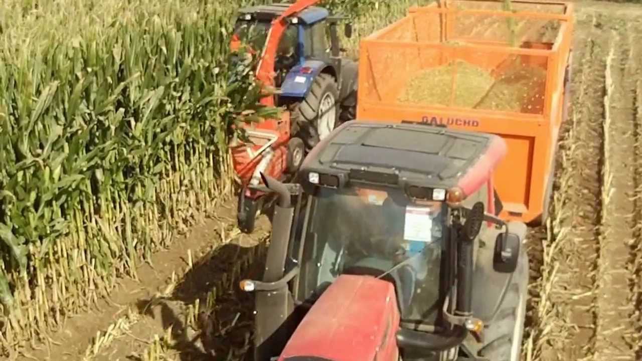 Blue Valtra  N163 & KEMPER  [[ kiszonka z kukurydzy 2012 ]] (Portugal)