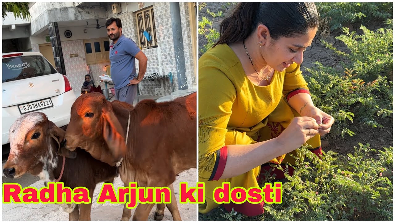 Bharti ko kuch na kuch mil jata hai khane ka…