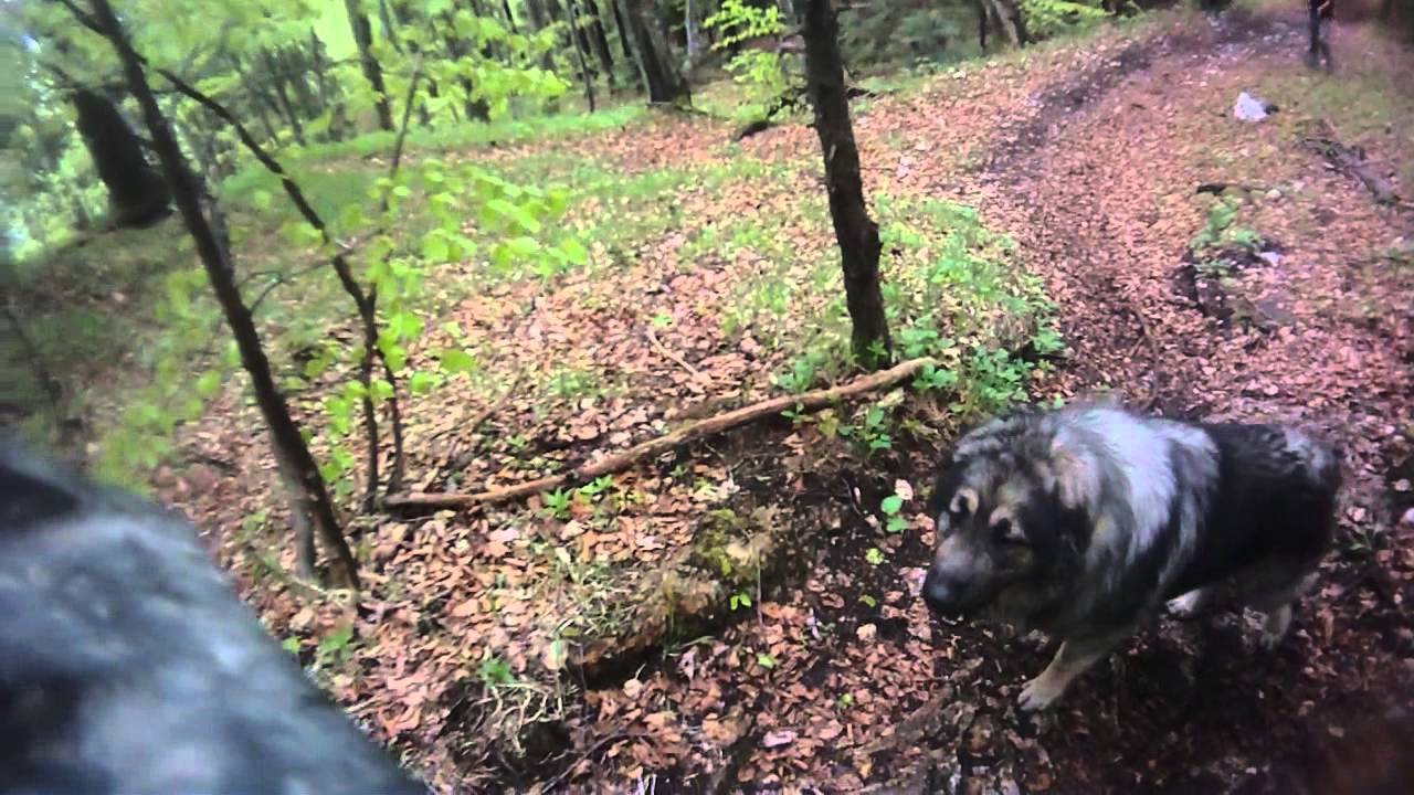 Descente VTT de Montoisey à Crozet (F) - 18 mai 2013 - Seul au monde