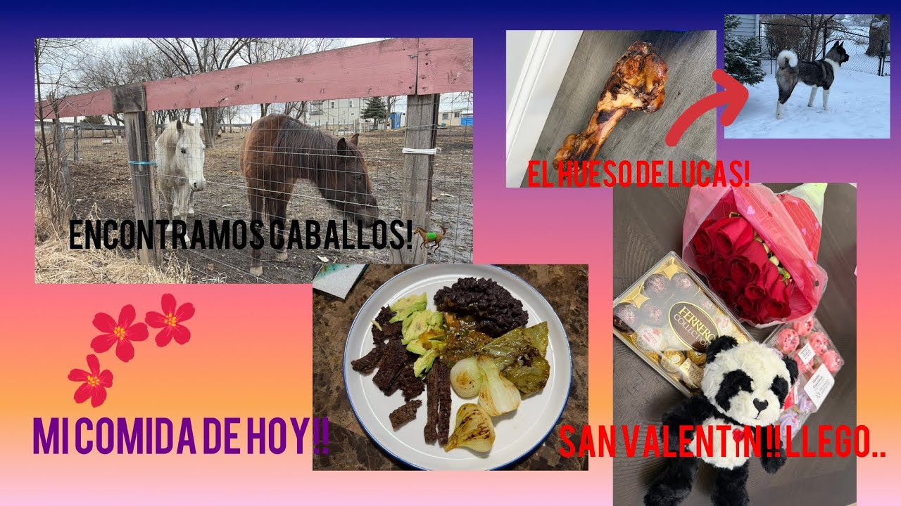 Mi PERRO QUIERE ATACAR A LOS CABALLOS!🐎 vamos por el regalo de san VALENTÍN ! 💝