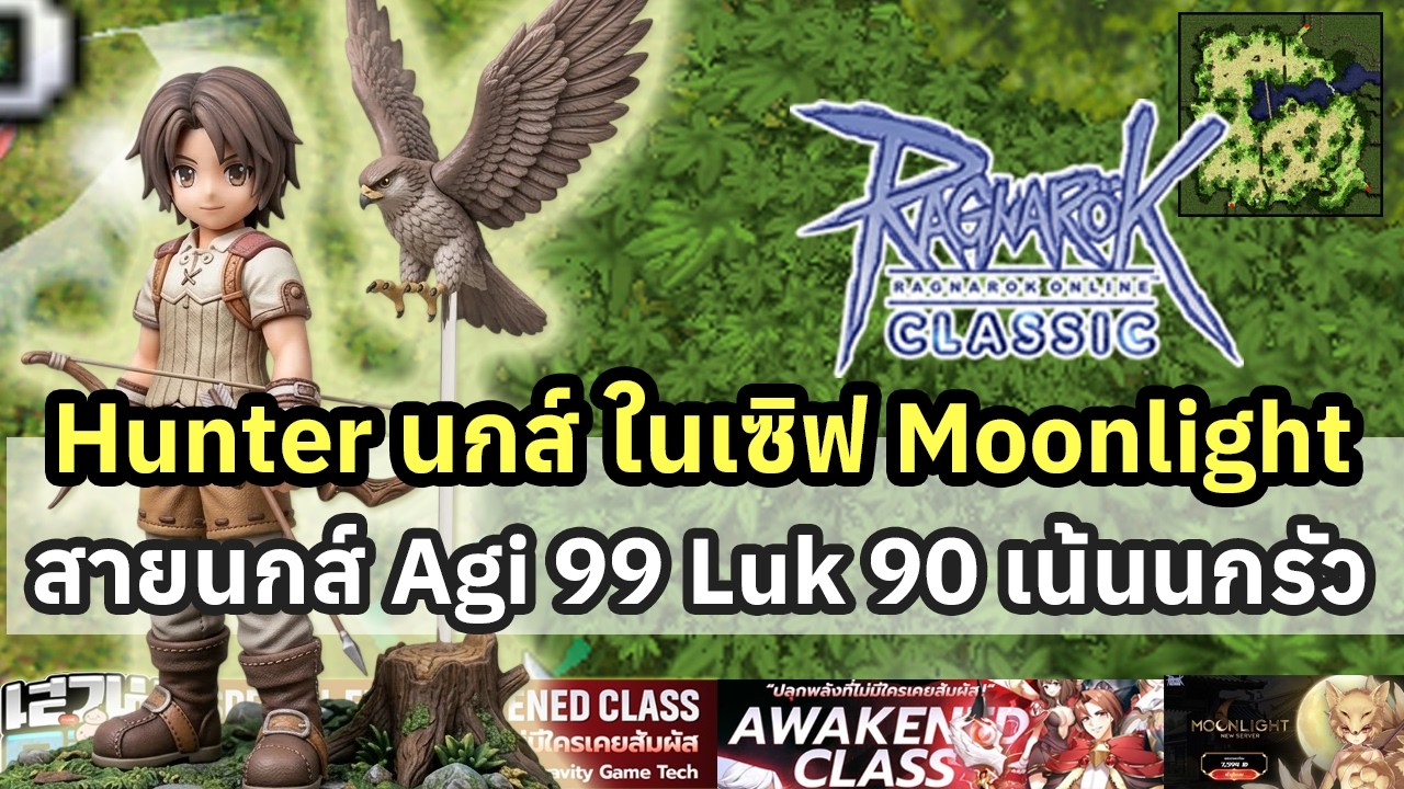 Ragnarok Classic Moonlight Hunter สาย Agi99 Luk90 เน้นนกส์จิกรัวๆ อาชีพที่เล่นง่ายที่สุดในเกม