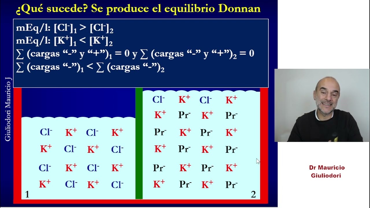 El equilibrio Donnan y su efecto sobre la fisiología celular