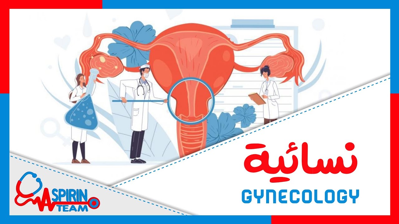 نسائية || المحاضرة 2 د.محمود بواب