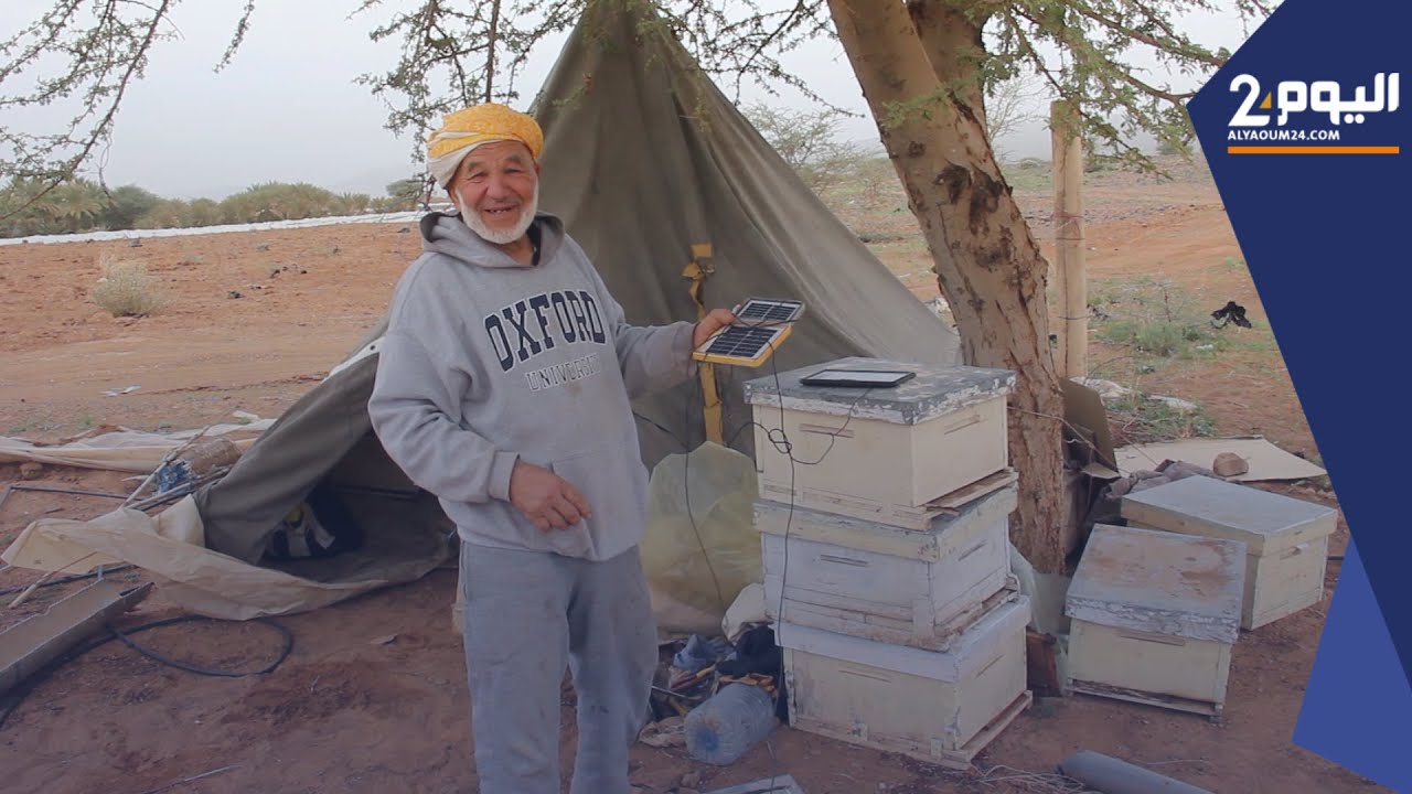 مربو النحل يقصدون سهول الجنوب الشرقي لإنقـاذ ماتبقى من مناحلهم