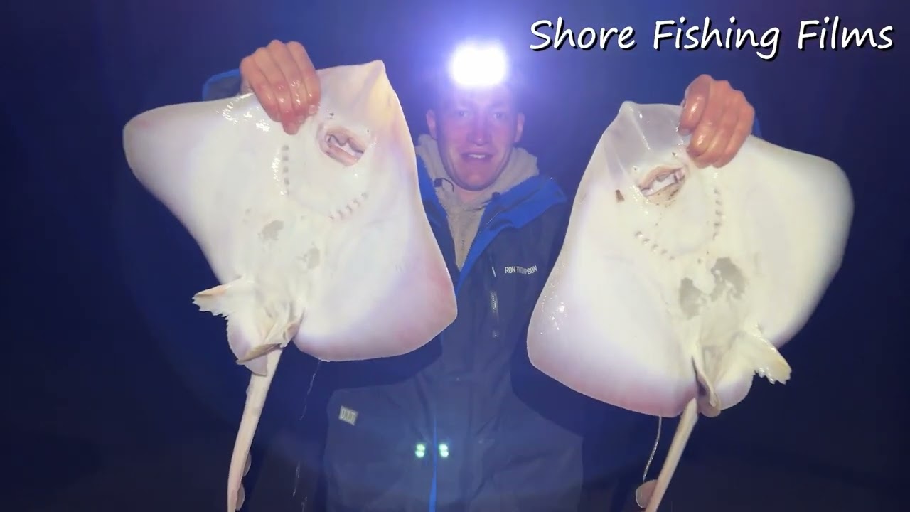 Fishing North Devon for Rays and Bass #seafishing