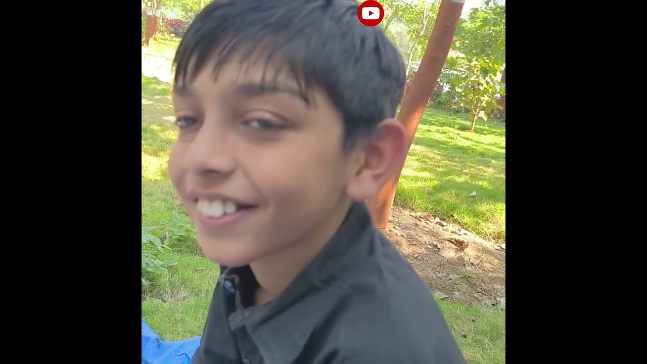 Vadodara to kevdiya jangal safari