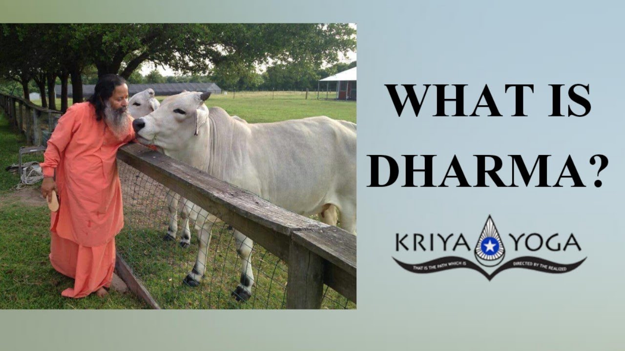 What is Dharma?