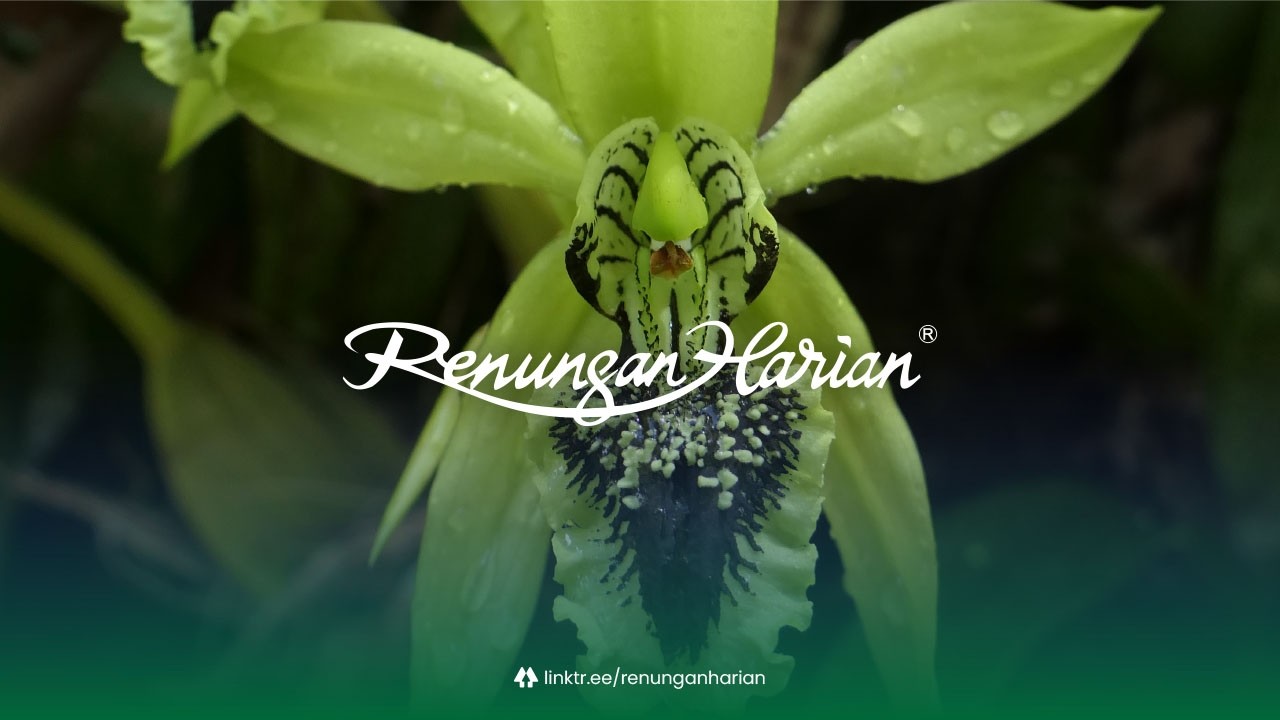TAKUT PANDANGAN ORANG | Renungan Harian® (Audio)