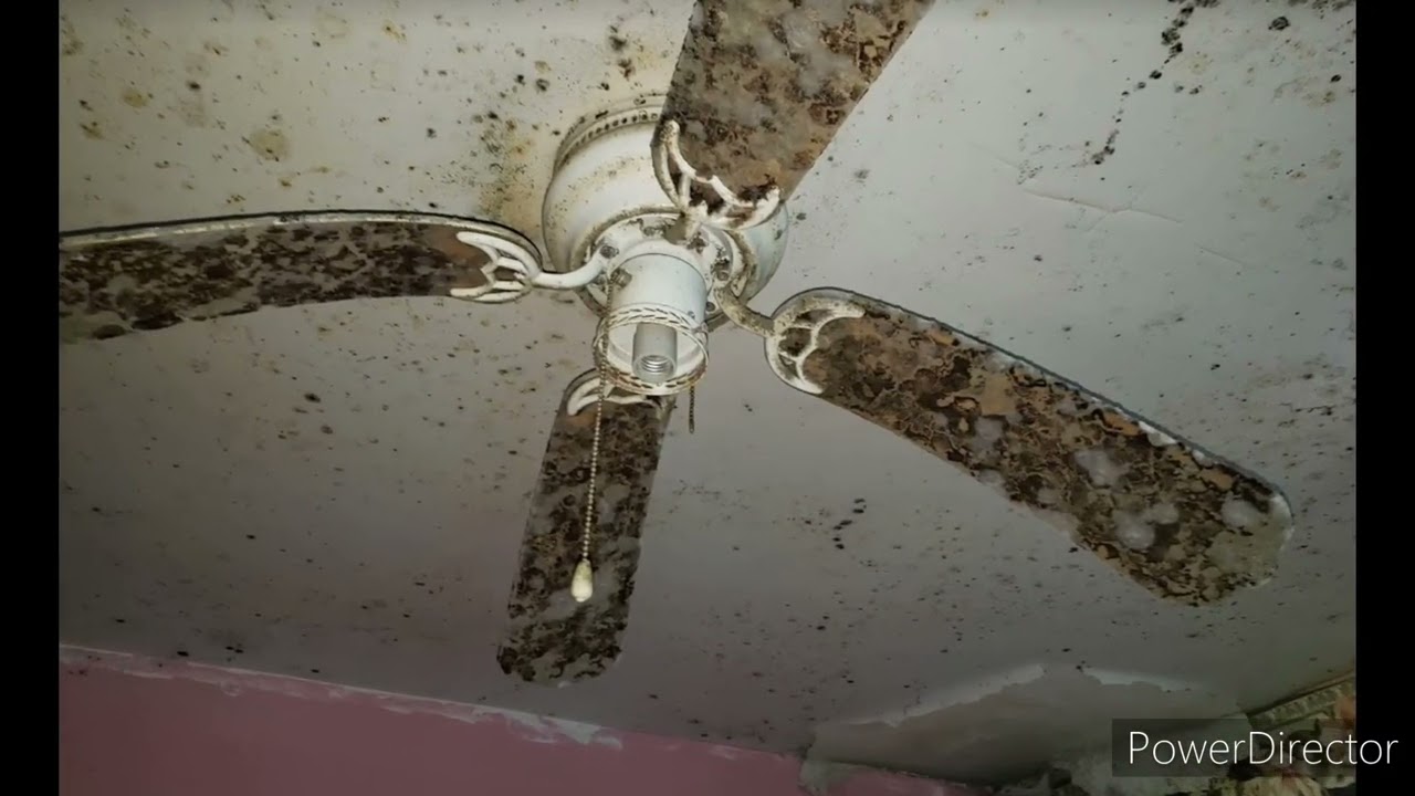 abandoned forgotten destroyed ceiling fans part 86