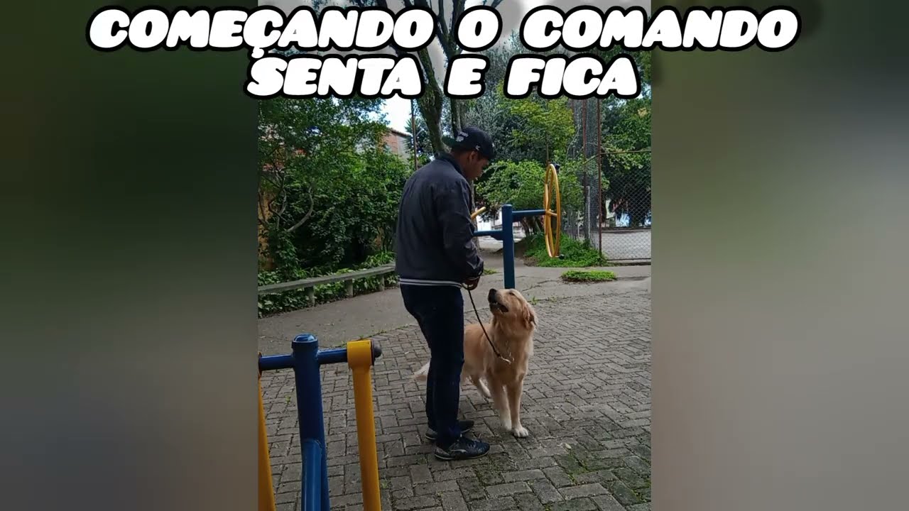 Golden Ozzy evolução de 1 mes de treino!!!