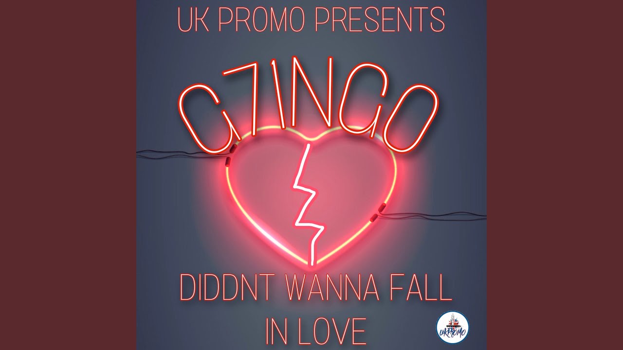 Diddnt Wanna Fall in Love
