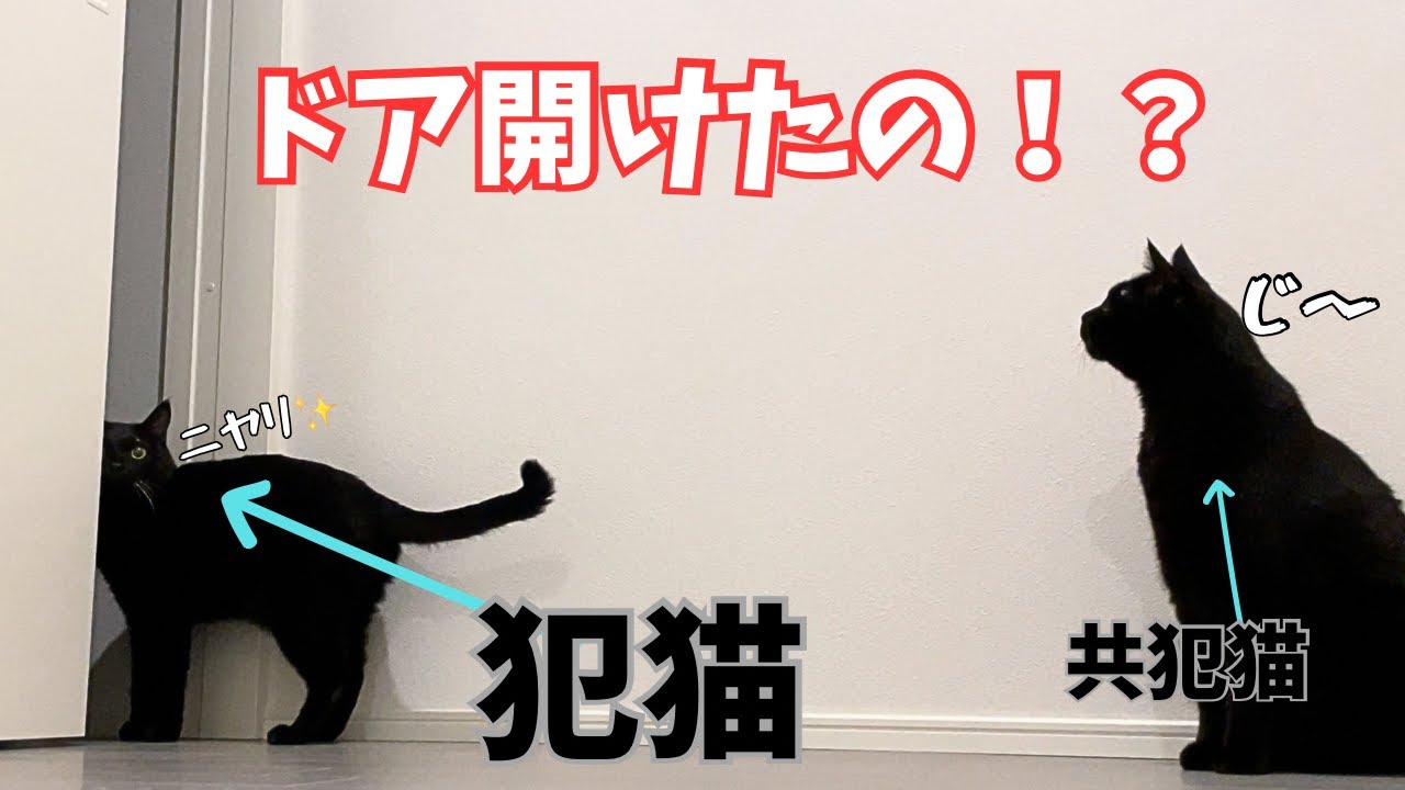 昼はまったり、夜はドタバタ！これが我が家の年末スタイル！？
