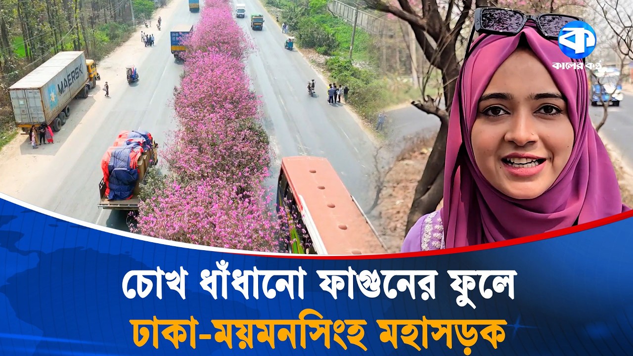 মহাসড়ক জুড়ে রঙিন ফুলের হাতছানি | Spring Bangladesh | Highway Flowers