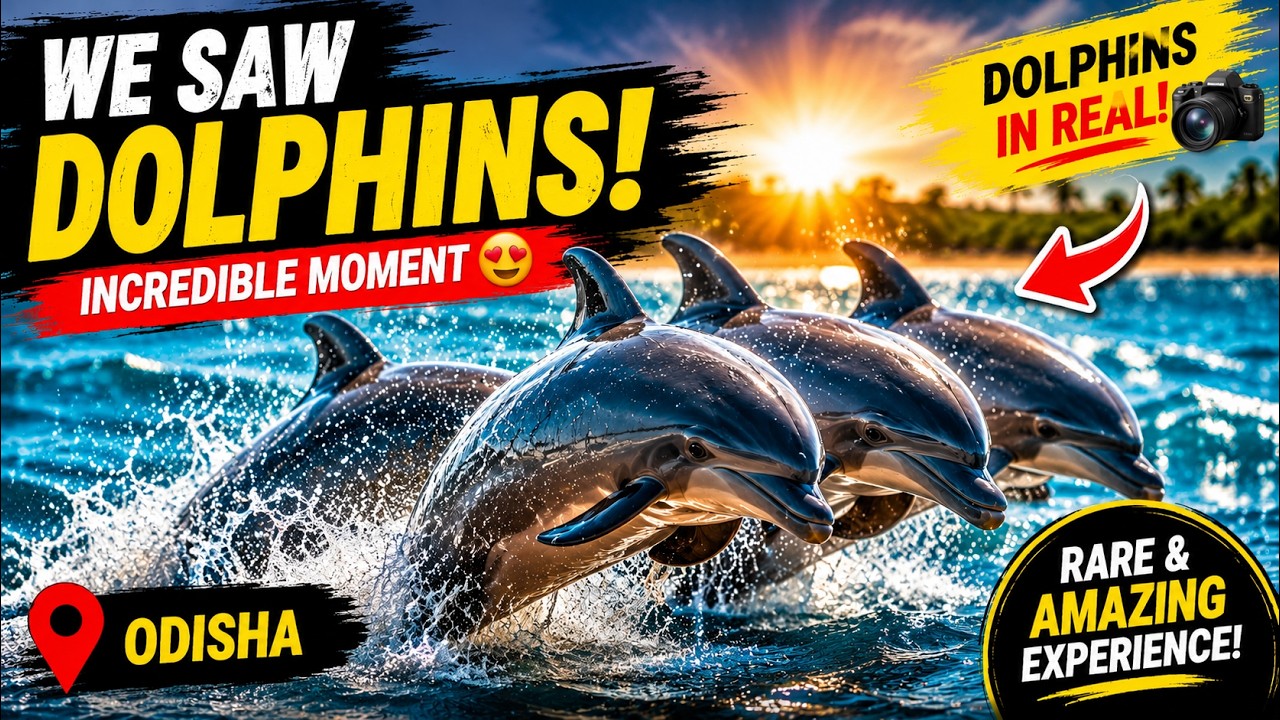 Dolphin Spotting at Janhikuda 🐬 | Rajhans Beach Puri | Hidden Paradise in Odisha