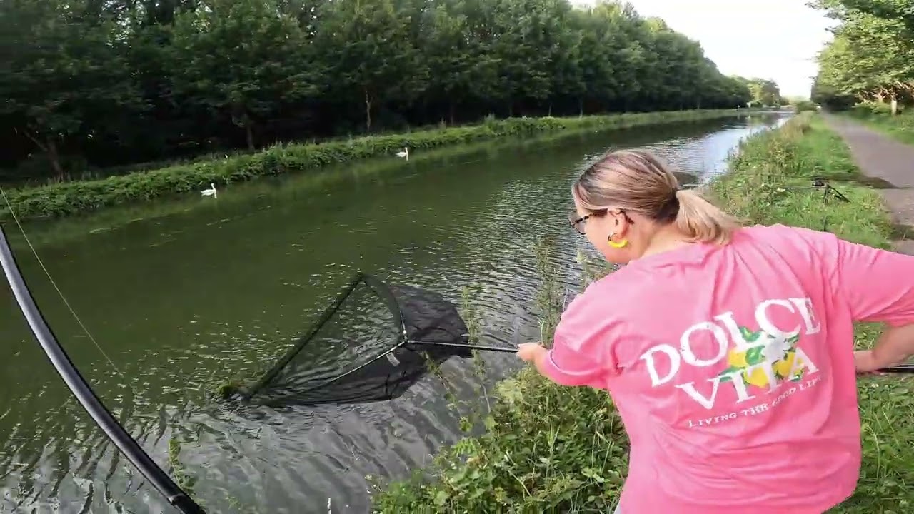 On ne pensait pas qu’un si beau poisson se cachait ici ￼