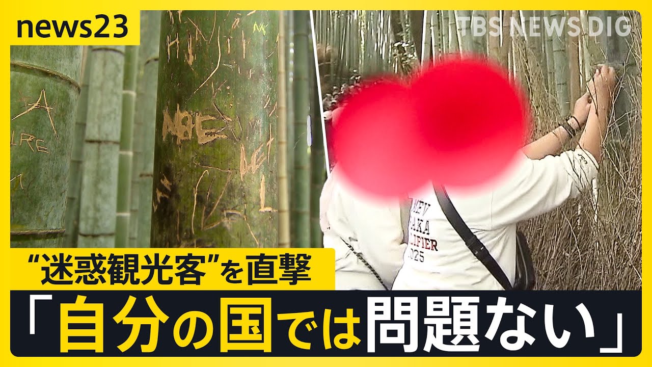【“迷惑観光客”を直撃】写真を撮るため“私有地に無断侵入” 名所「竹林の小径」では悪びれる様子もなく竹に落書きも…【news23】｜TBS NEWS DIG