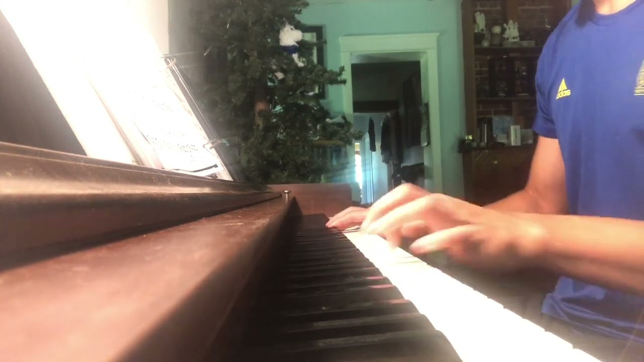 Nocturne 19 in Em - Chopin