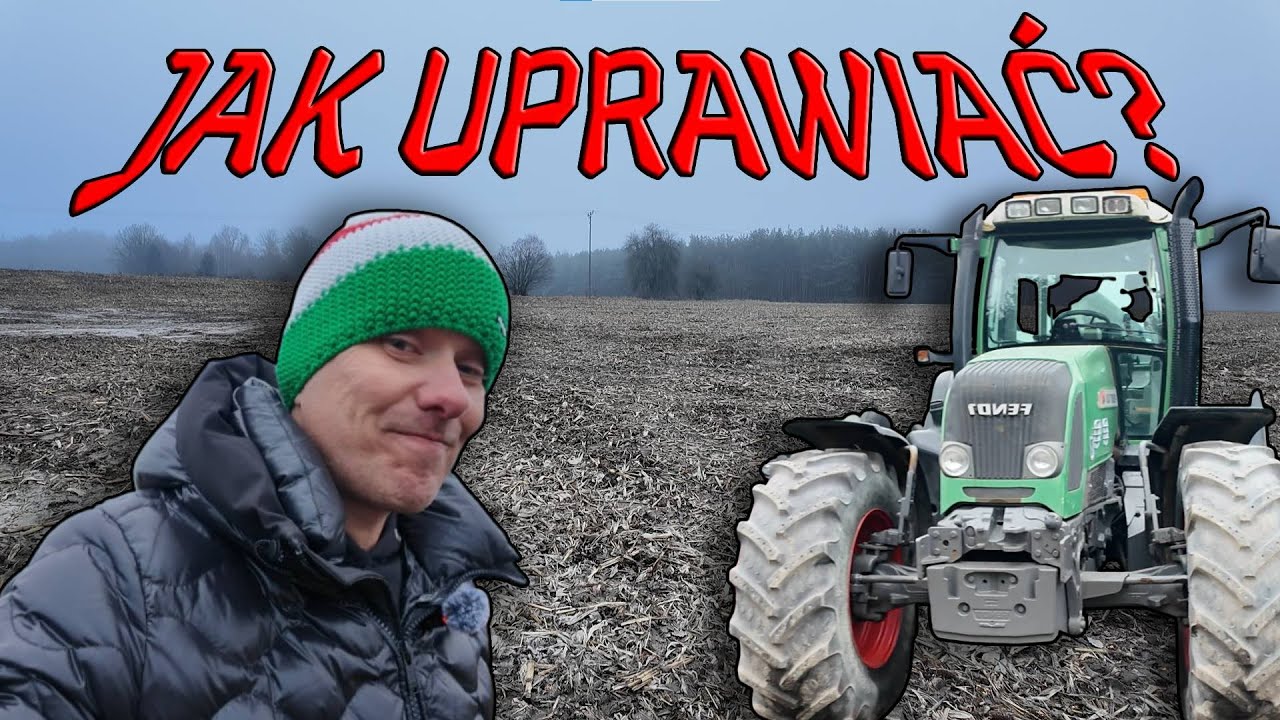 JAK UPRAWIAĆ ŚCIERNISKO PO KUKURYDZY?