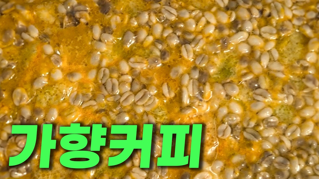흑백요리사에서 나온 테크닉으로 역대급 가향 커피를 직접 만들어봤습니다