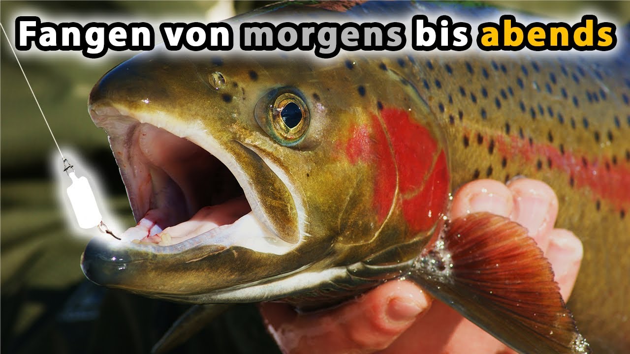 Mit dieser Strategie fängst du den ganzen Tag | Ultra-Light Forellenangeln mit Wobblern