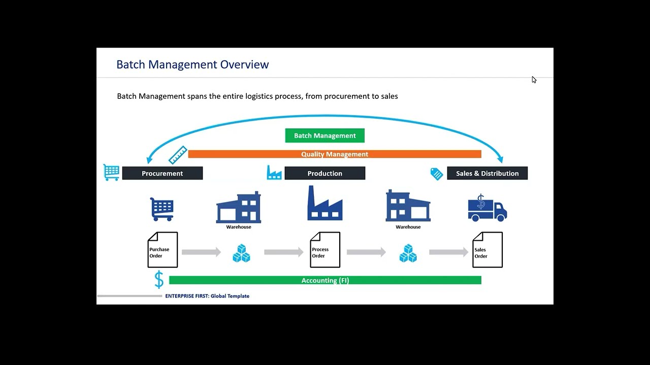 Процесс управления партиями SAP #SAP #SAPBatchManagement #SAPMM #SAPLogistics
