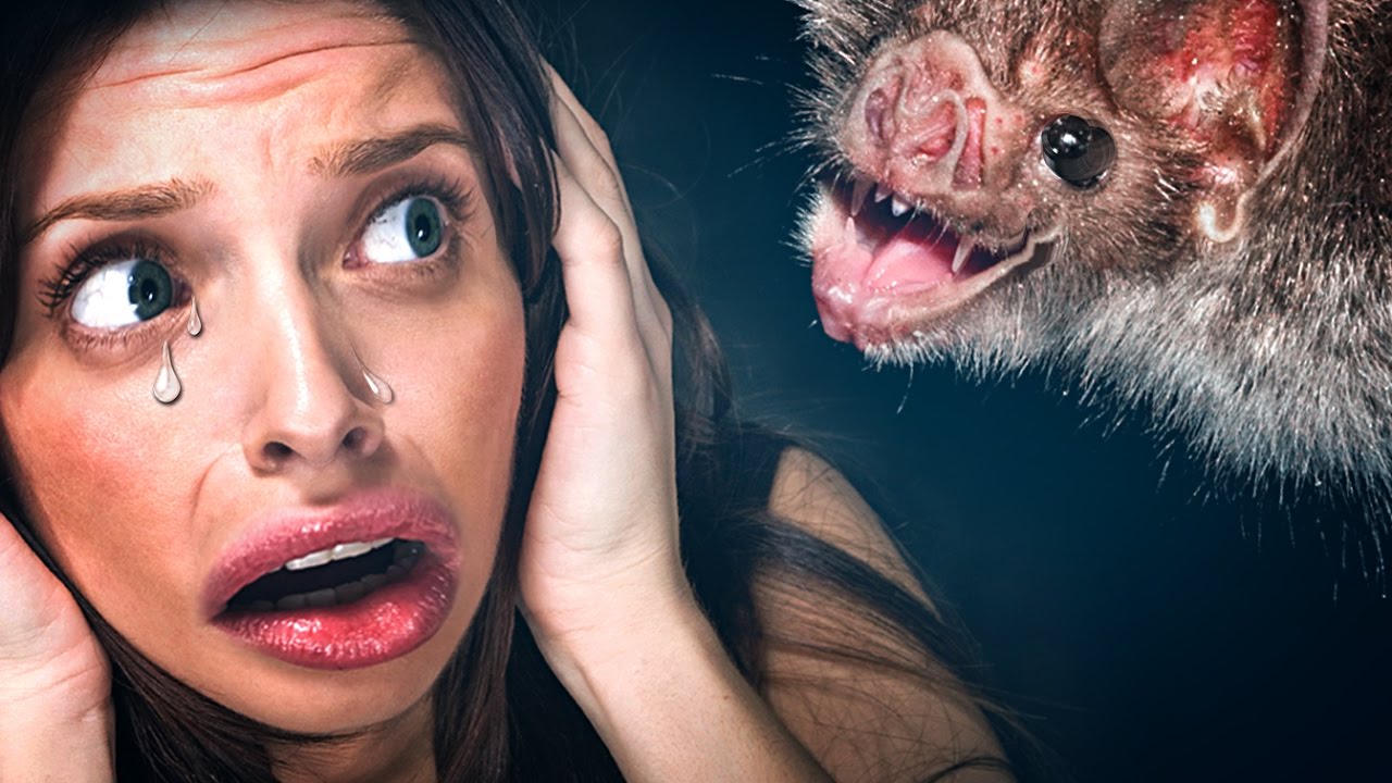 CRAZY BAT LADY CALLS 911! | 911 Operator #10