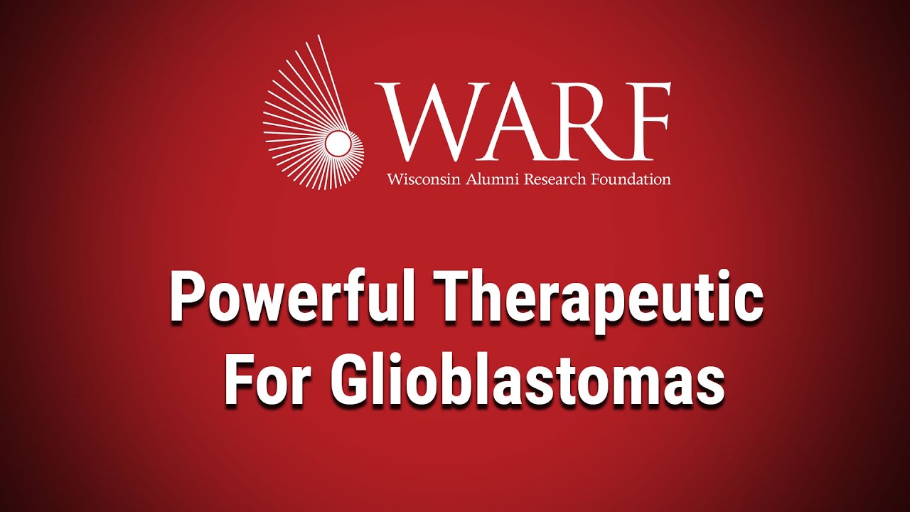 New Therapeutic for Glioblastoma, the Most Lethal Form of Brain Cancer: 2023 WARF Innovation Awards