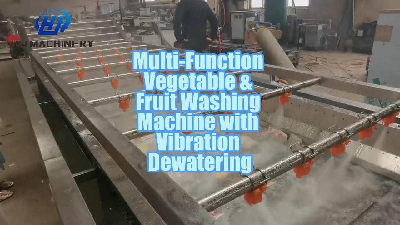 Multi-Function Vegetable & Fruit Washing Machine with Vibration Dewatering | Food Washing Line