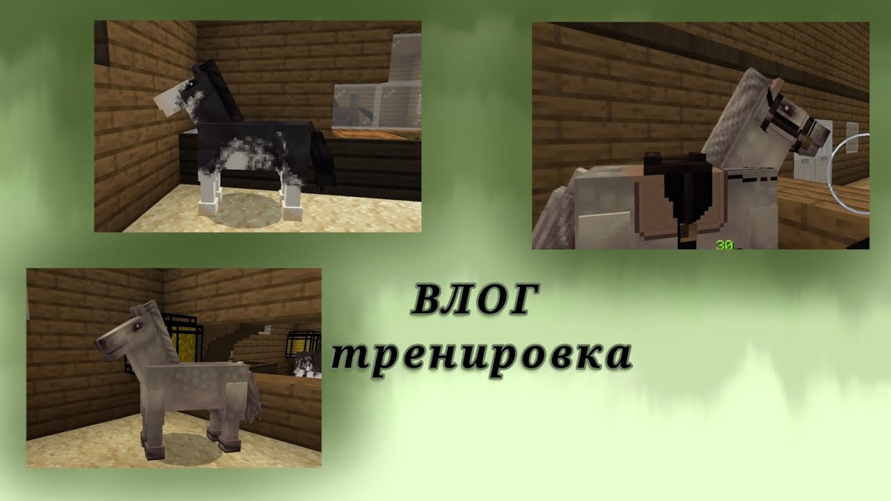 •°Будни админа конной академии 💞•°