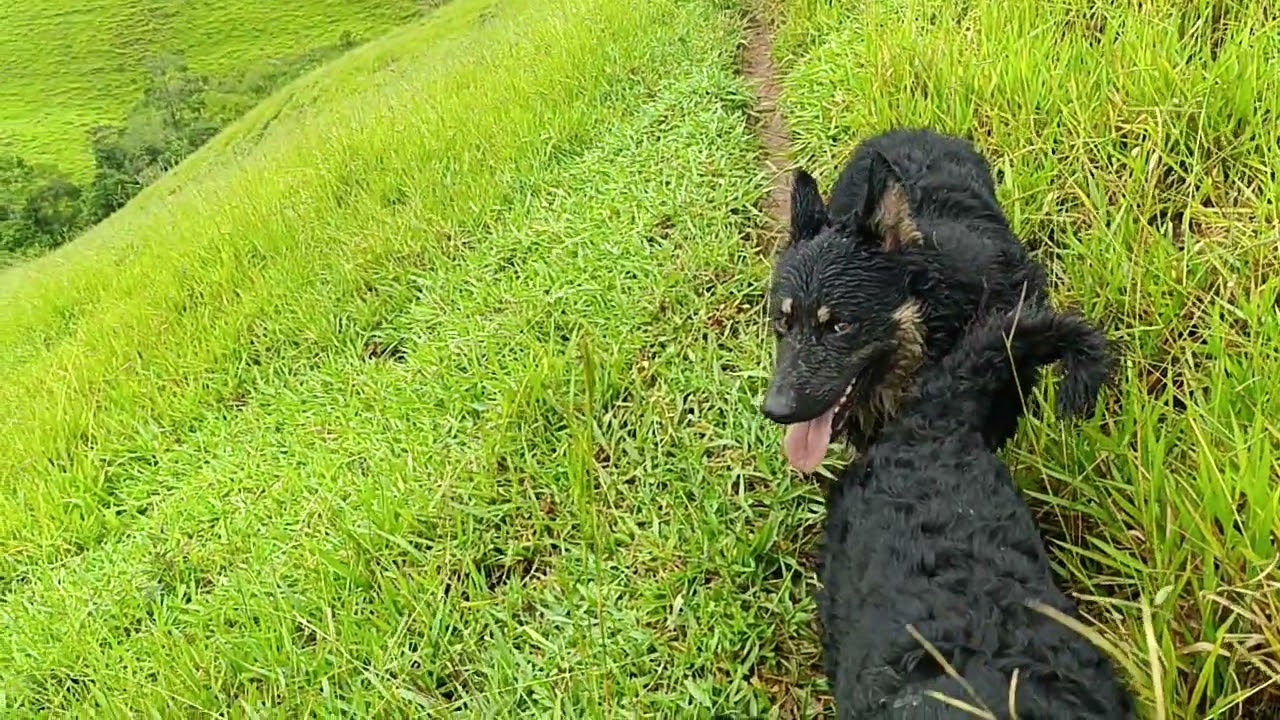 Caminhada nas Montanhas!