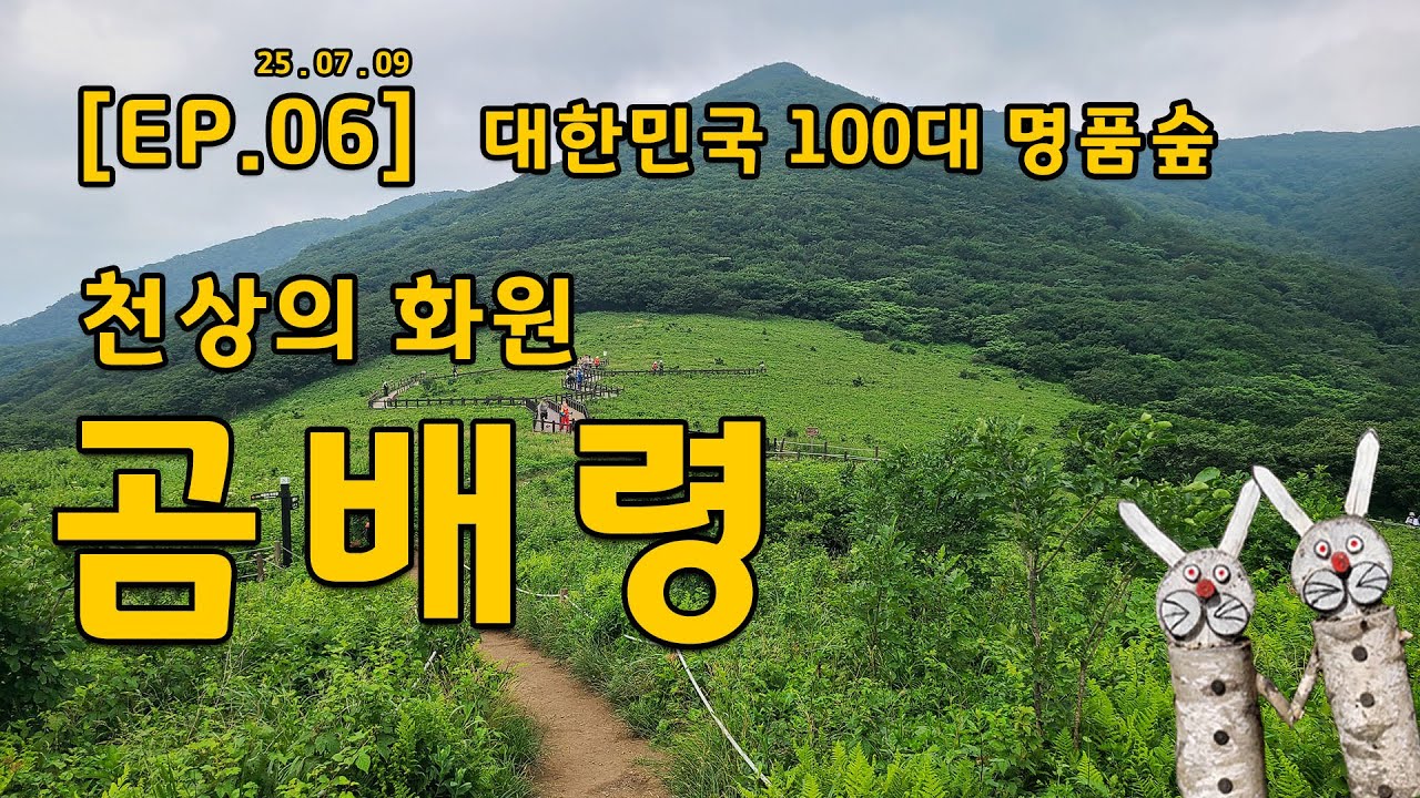 천상의 화원 점봉산 곰배령,  계곡과 숲에 또한번 놀란곳