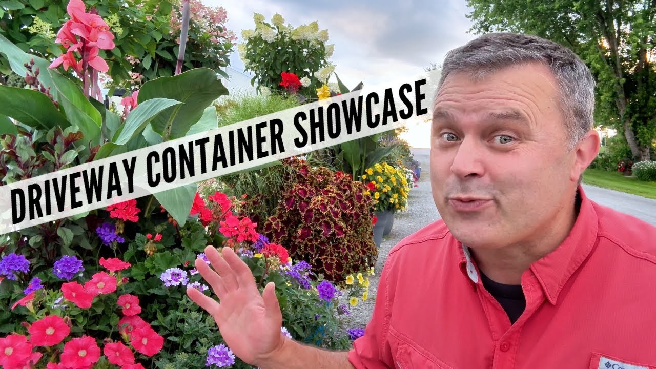BIG UPDATE: Jumbo Planters — They’re Definitely Eye-Catching!