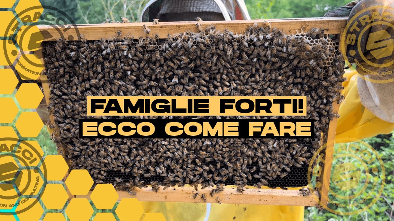 Da Famiglie Deboli a Famiglie FORTISSIME - Ecco come fare