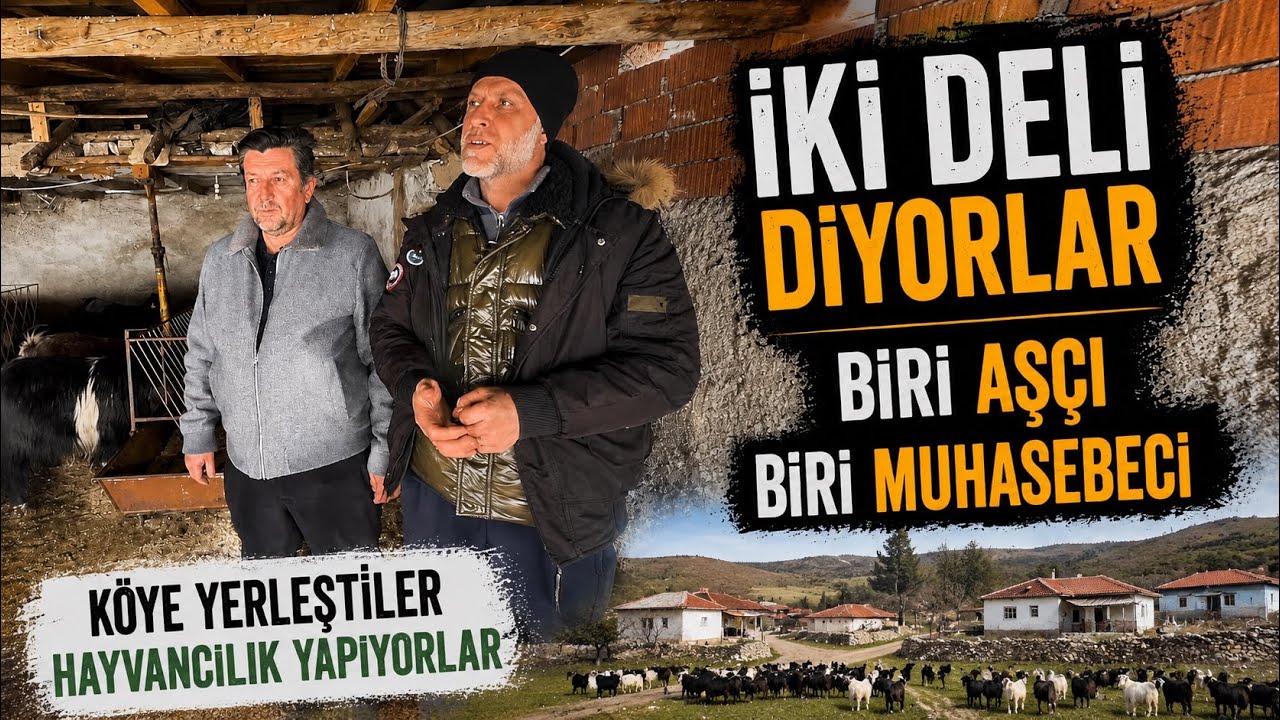 “İKİ DELİ” DİYORLAR / BİRİ MUHASEBECİ BİRİ AŞÇI / DAĞDA KEÇİ GÜDÜYORLAR 