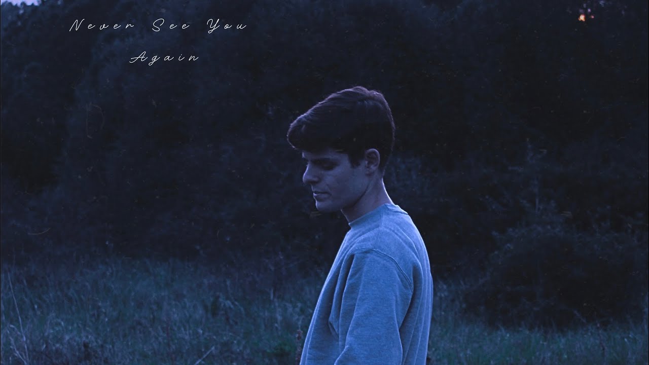 Nuno Luis - Never See You Again (Official Audio)