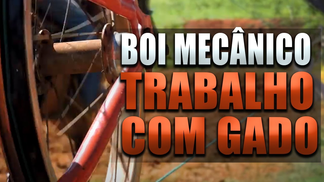 BOI MECÂNICO - TRABALHO COM GADO | LEONARDO FEITOSA