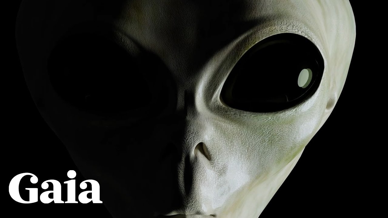The GREYS - Were They the FIRST to be Here?