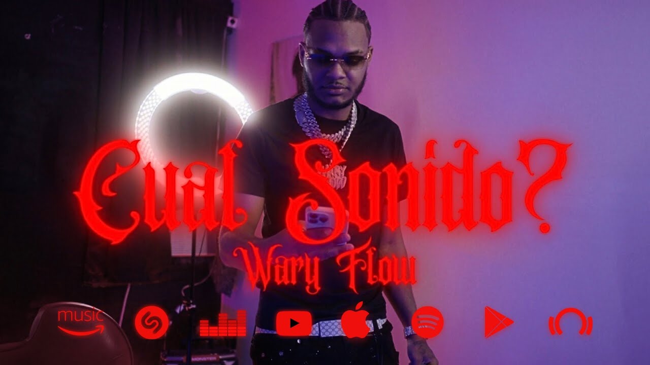 WARY FLOW - CUAL SONIDO?