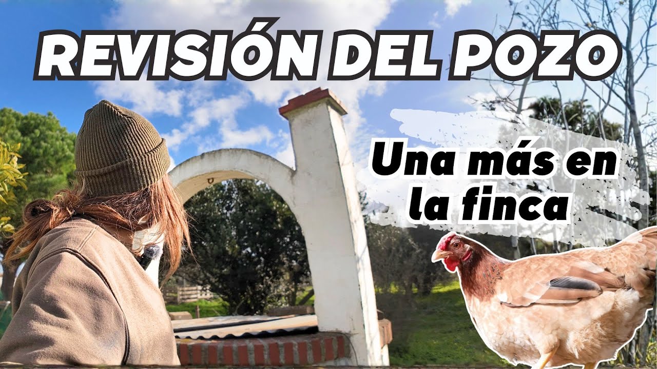 Me dicen que otros POZOS se han llenado y REVISO el mío!! 💦 Vlog272