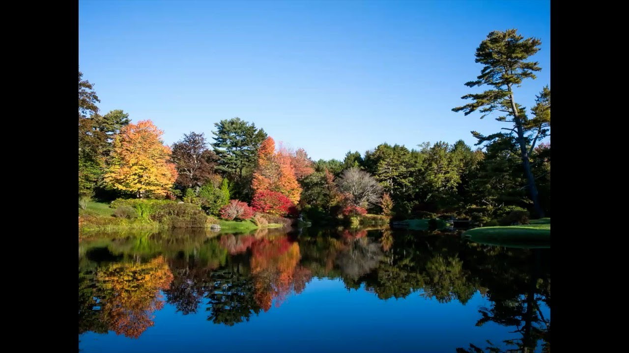 Andy Brand at the Coastal Maine Botanical Garden