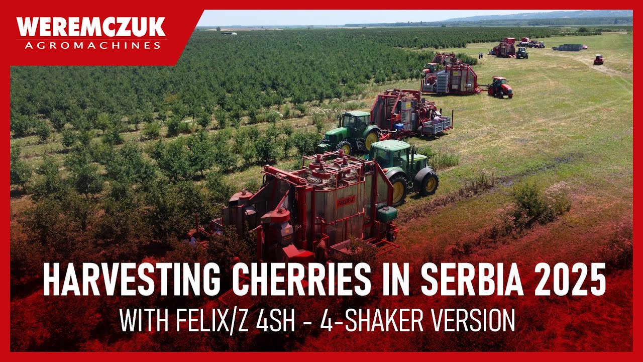 Сбор вишни в Сербии с помощью FELIX/Z 4SH - сезон 2025 г.