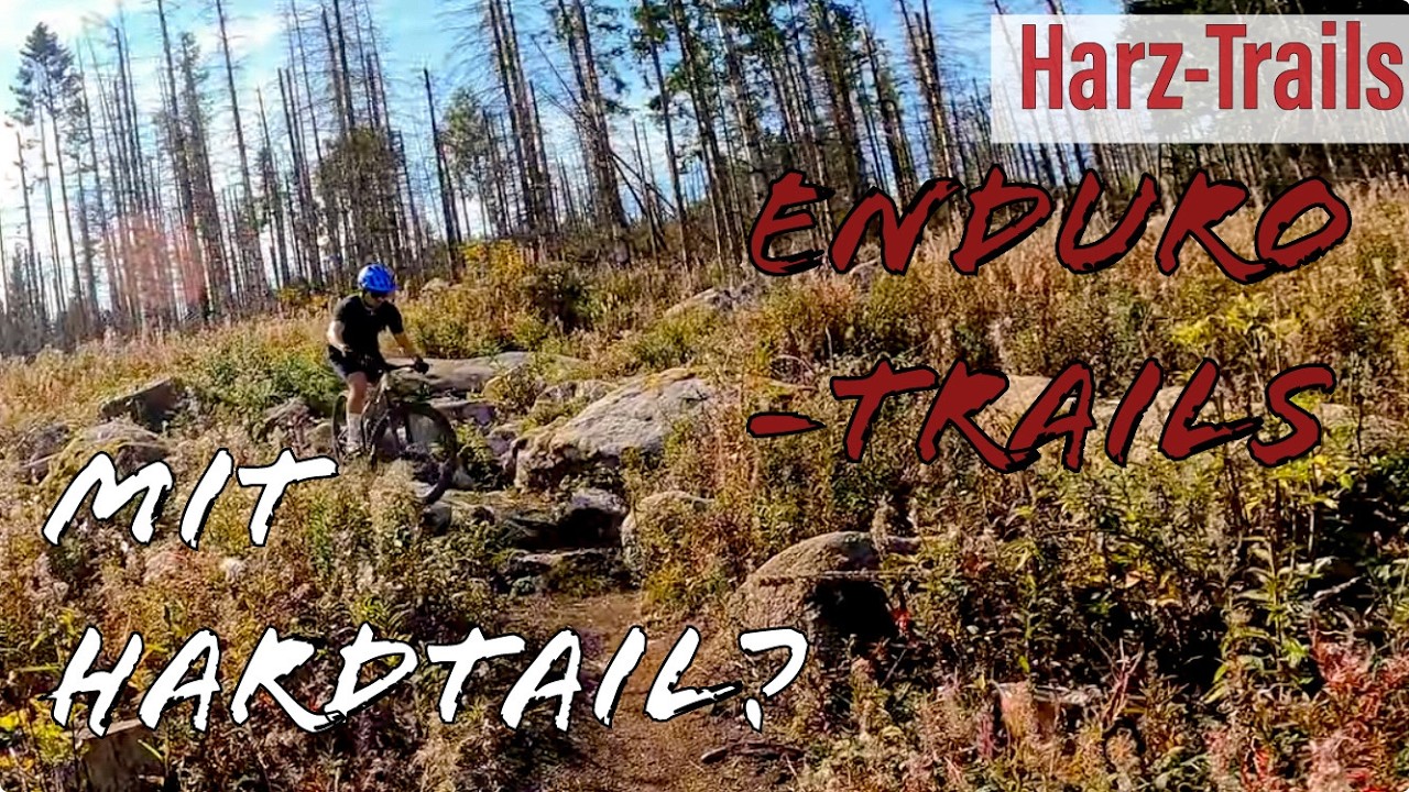 Enduro-Trails mit Hardtail & Trailbike fahren? | MTB im Harz