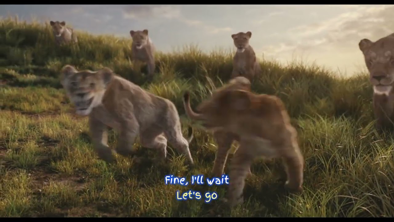 Mufasa The Lion King | I Always Wanted A Brother (Lyrics)