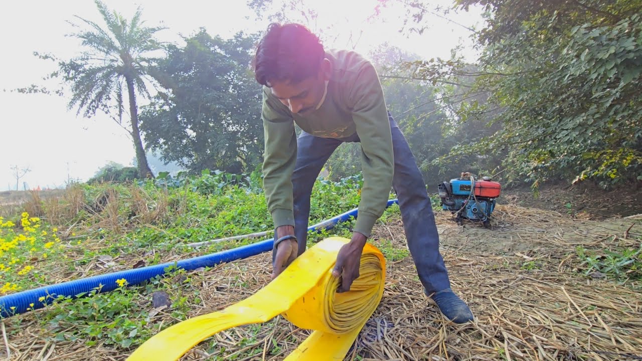 পুকুর থেকে শ্যালো মেশিন দিয়ে সব জল বিচন কাজলায় দিলাম। Mr Sajedar
