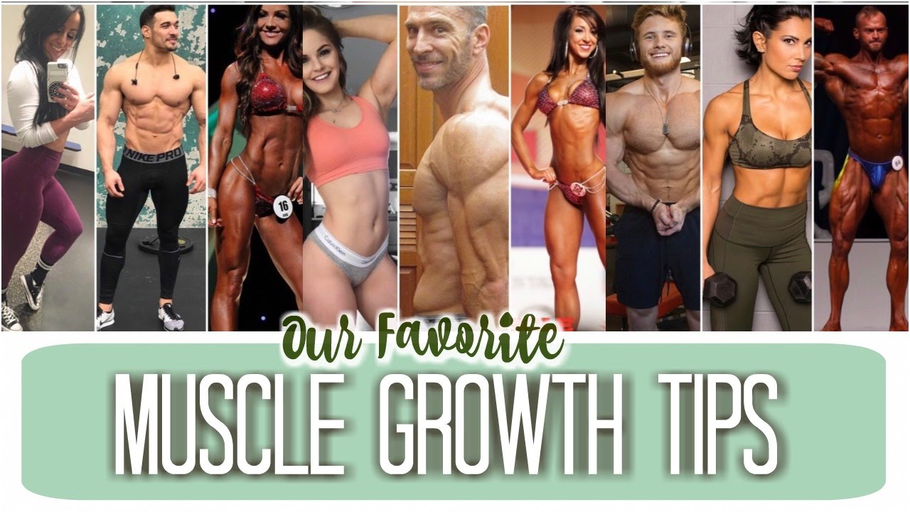 BEST MUSCLE BUILDING TIPS 💪🏼