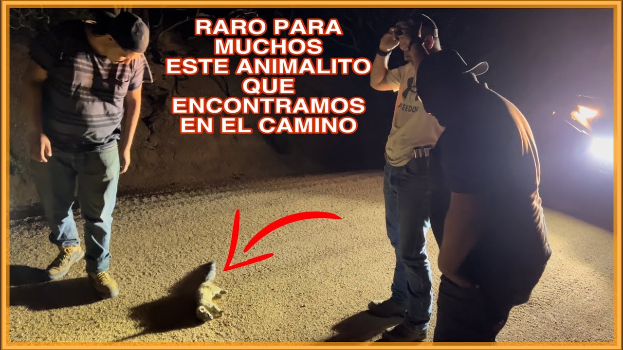 ARIZONA DE NORTE A SUR PARTE 7 RECORRIDO DEL GRAN CAÑÓN HASTA LA FRONTERA DEL SASABE SONORA